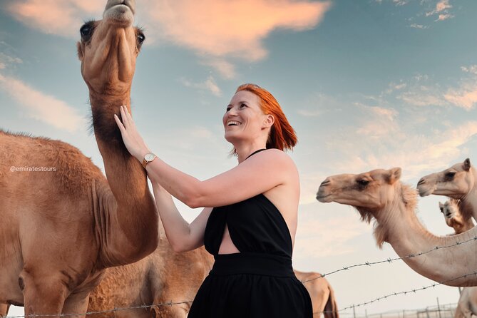 Abu Dhabi Evening Desert Safari BBQ, Camel Ride, Entertainments - The Sum Up