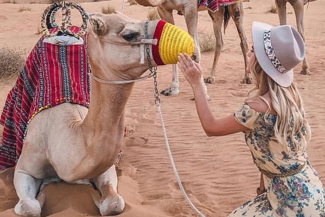 Abu Dhabi Evening Desert Safari With BBQ Dinner - The Sum Up