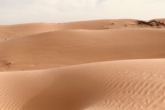 Abu Dhabi Morning Desert Safari,Dune Bashing,Sandboarding,Camel Riding&Quad Bike - Common Questions