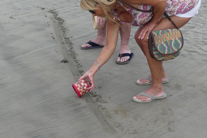 Acapulco Beach Horseback Riding Tour With Baby Turtle Release - Directions