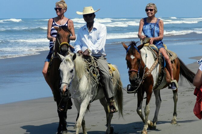 AfroMex Village Beach Horseback Ride -Crocs - Divers & City Tour - Questions and Contact Information