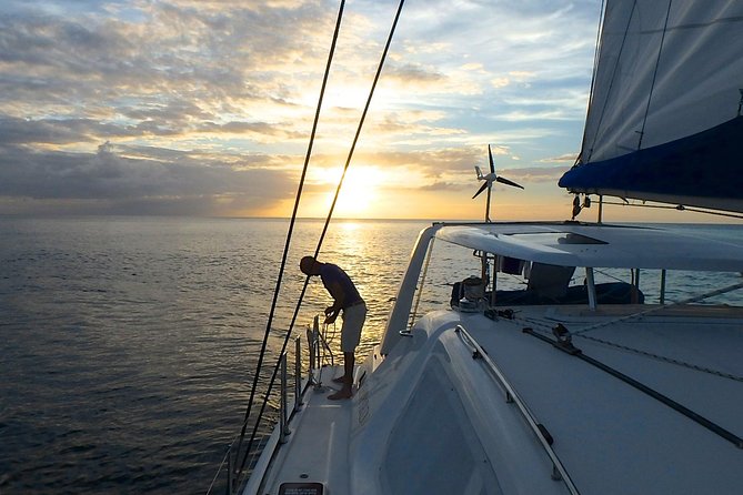 Afternoon Luxury Catamaran Sailing and Charter Cruise From Bridgetown - Sunset Watching