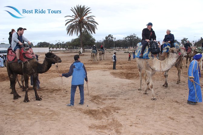 Agadir Camel Riding - Reviews and Customer Recommendations