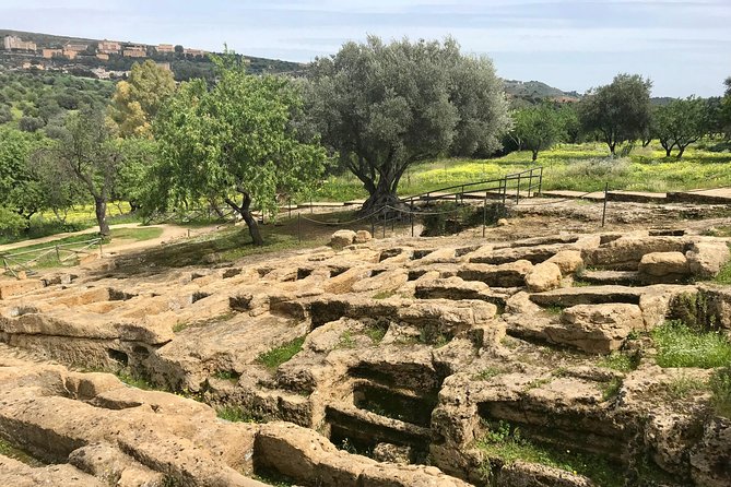 AGRIGENTO Valley of Temples Private Tour From Palermo With Guide Driver - Pricing and Terms