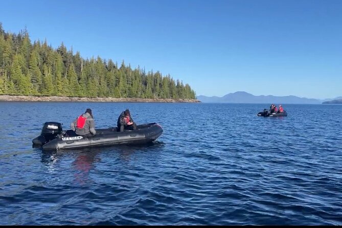 Alaska Marine Fast Boat Adventure - The Sum Up