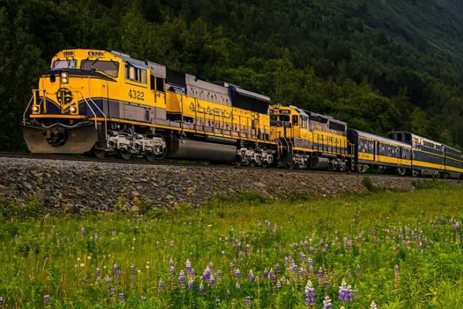 Alaska Railroad Anchorage to Denali One Way - Meeting and Pickup Details
