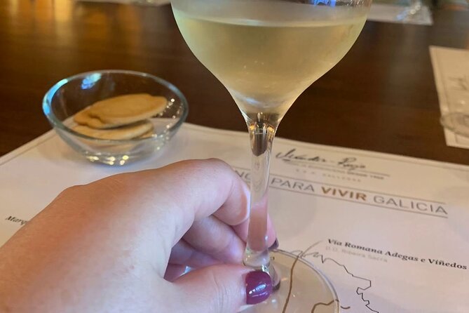 Albariño Wine Tour Galicia and Portugal - Gastronomic Delights