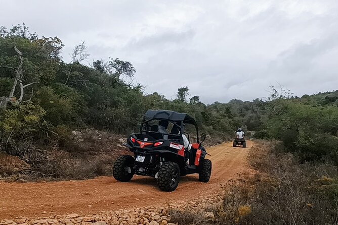 Albufeira 2 Hour Off-Road Tour Buggy Adventure Tour - Pricing and Terms
