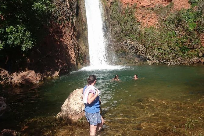 Albufeira (FULL DAY) Jeep Safari Tour - Wildlife and Natural Wonders