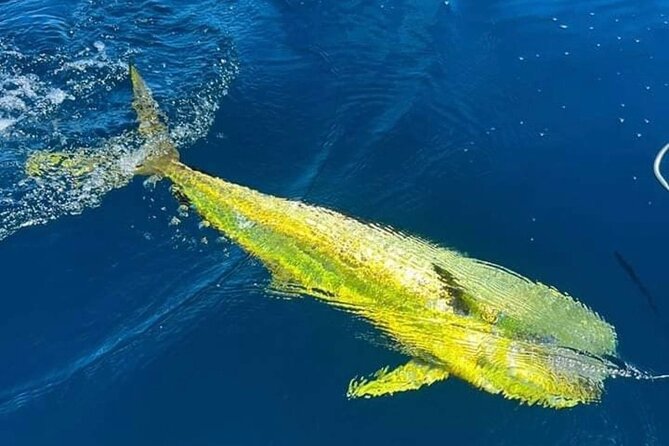 Alcántara Private Experience Charter Fishing/Walking - Common Questions
