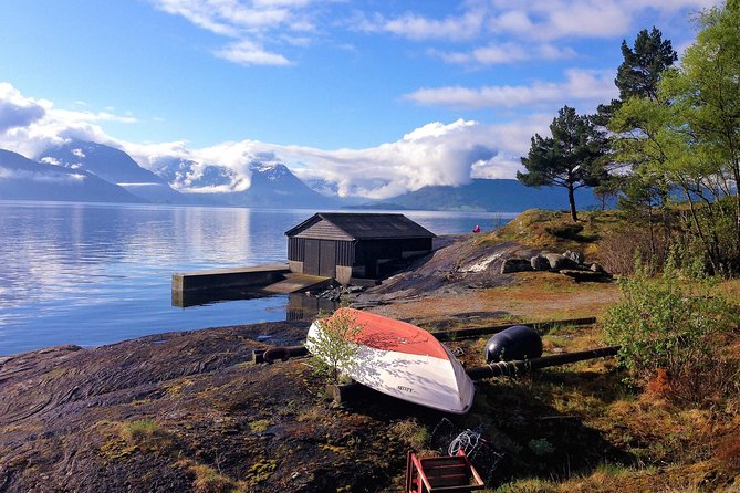 Alesund Sightseeing Tour Vikings Islands by Minibus, 4 Hours. Private Tour - The Sum Up