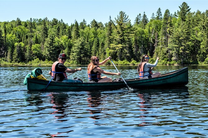 Algonquin Park Luxury 3-Day Camping & Canoeing: Moose/Beaver/Turtle Adventure - Traveler Experience