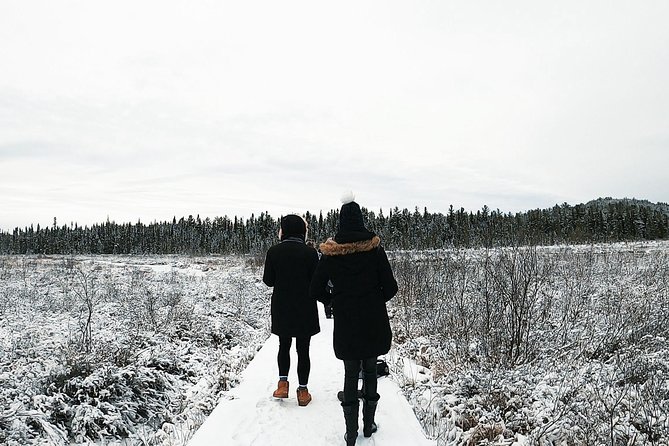 Algonquin Park Winter Adventure - Ice Fishing