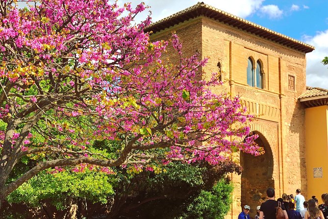 Alhambra Guided Tour With Skip-The-Line Tickets  - Granada - Common Questions