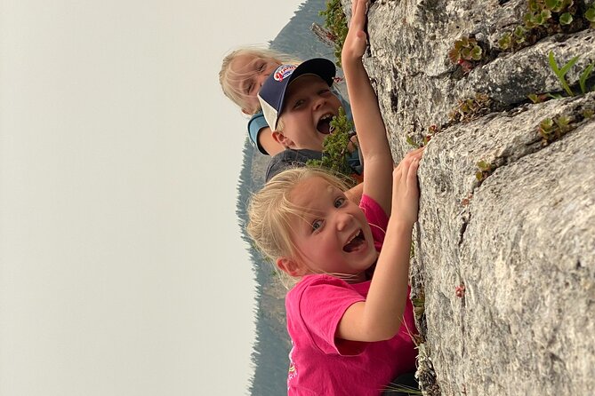 All-Day Tour of Yellowstone National Park - Tour Operator Information
