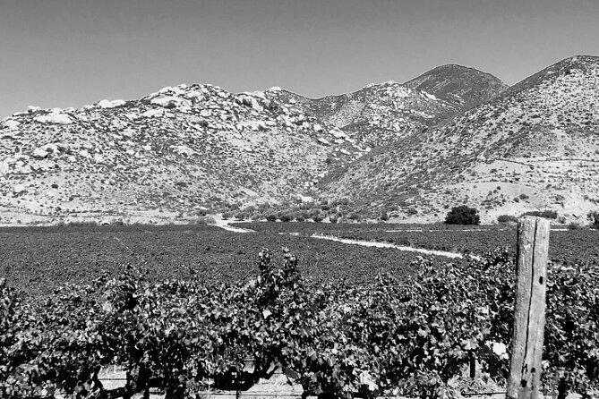 All-Inclusive Overnight Wine Tour. Round Trip From San Diego. - The Sum Up