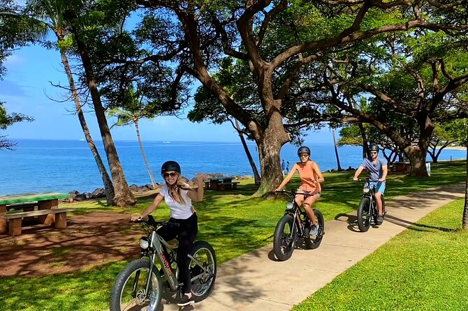 Aloha West Maui 2 Hour Self-Guided Electric Bike Tour - The Sum Up
