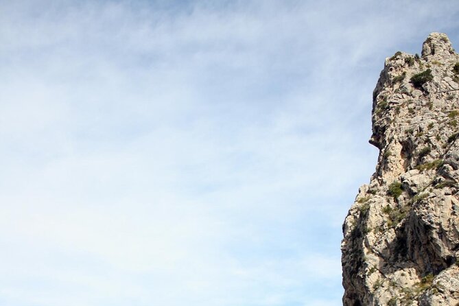 Alpine Hiking Tour in Winter Mallorca - Additional Information and Assistance