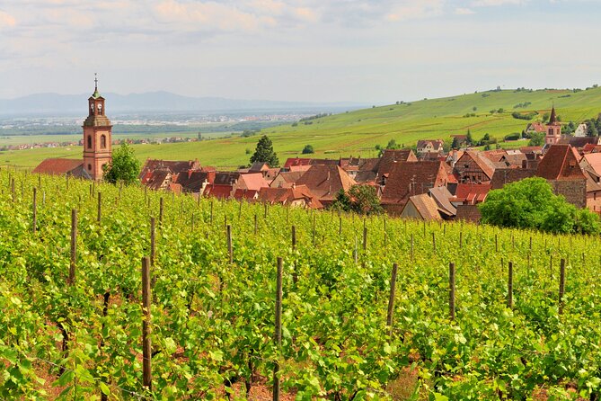 Alsace Wine Route Small Group Half-Day Tour With Tasting From Strasbourg - Wine Tasting Experience