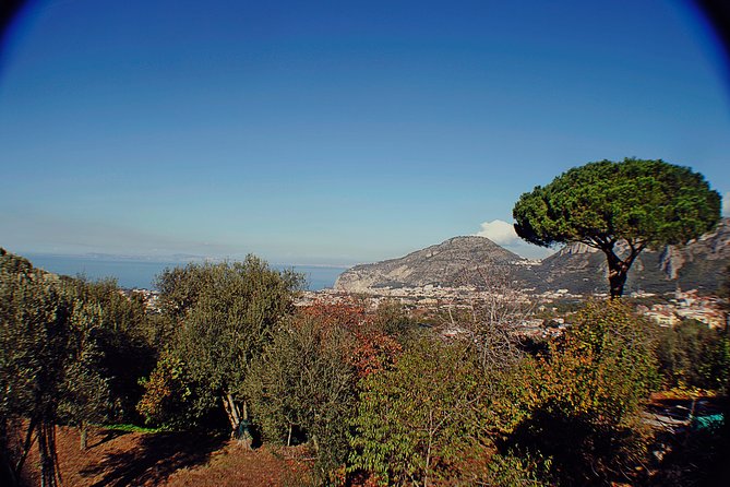 Amalfi Coast Private Day Trip - Scenic Views and Comfortable Transport