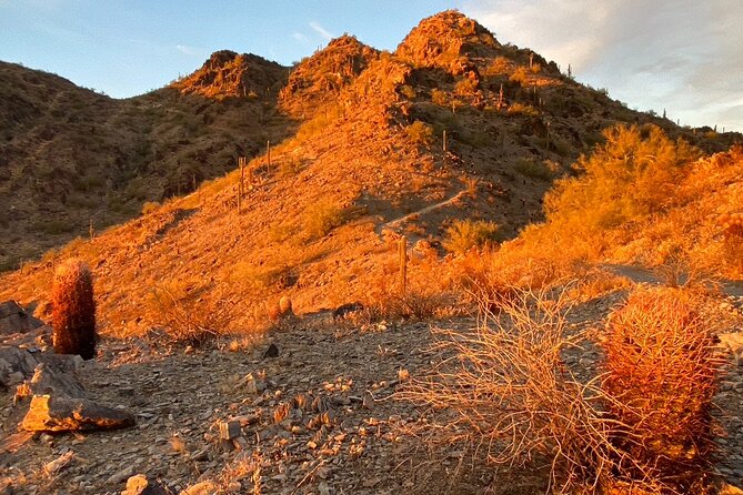 Amazing 2-Hour Guided Hiking Adventure in the Sonoran Desert - Safety and Accessibility