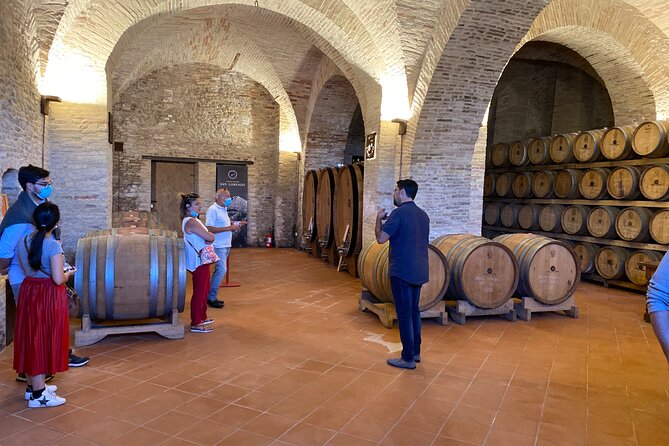 Among Ancient Sunny Vineyards, Visit and Taste the Wines From the San Lorenzo Cellar - Common Questions