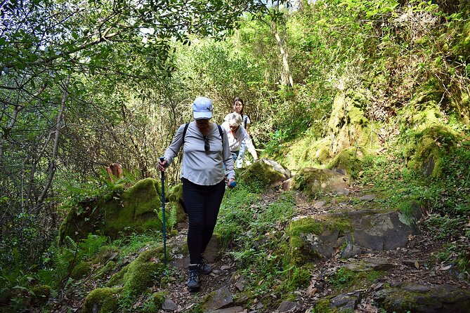 An Adventure Through the Schist Villages of Lousã (With Walk) - Tips for a Memorable Visit to Lousãs Schist Villages