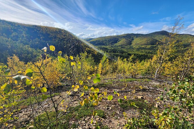 Angel Rocks Hike and Chena Hot-Springs Soak Guided Tour - The Sum Up