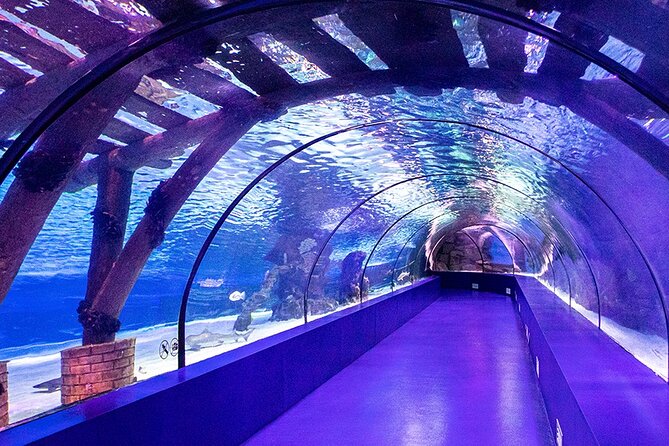 Antalya Aquarium With Pivate Transfer and Other Shops - The Sum Up