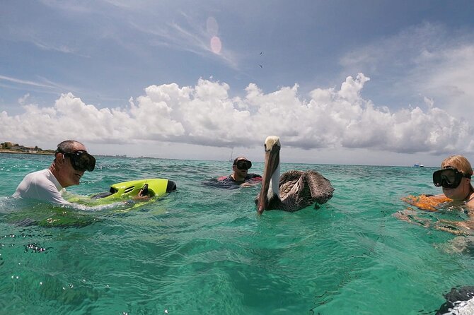 Antilla Shipwreck Seabob Tour - Additional Experiences and Features