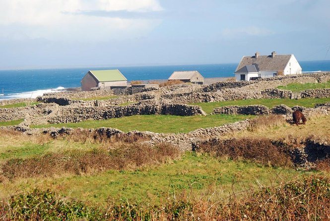 Aran Islands Bike Tour With Tea & Scones - Day Trip to Inisheer From Doolin - Meeting and Pickup