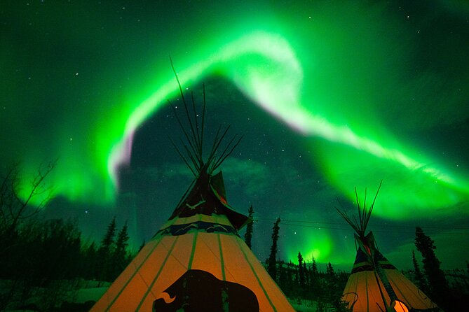 Arctic Day: Aurora Viewing Tour Evening - The Sum Up