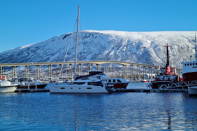 Arctic Fjordcruise & Safari in Tromso With Luxury Catamaran - The Sum Up