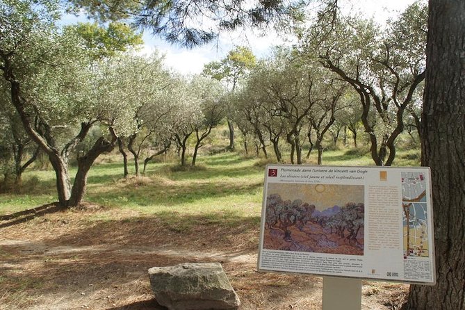 Arles and Saint-Rémy-de-Provence Private Tour - The Sum Up