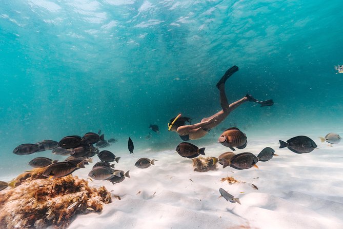 Aruba Champagne Breakfast and Lunch Cruise With Snorkeling - Experience on the Catamaran