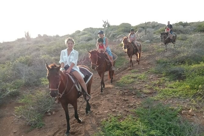 Aruba Horseback Beach & National Park Ride - Additional Information and Requirements