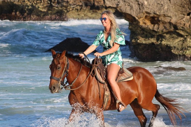 Aruba: Small-Group North Coast Horseback Tour - Inclusions and Meeting Details