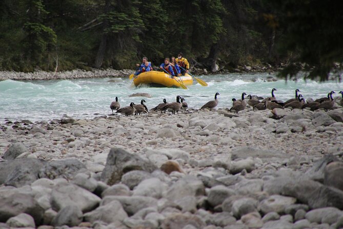 Athabasca River Mile 5 - Common Questions