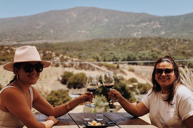 Baja Tour Guide Wine Tour - Reviews