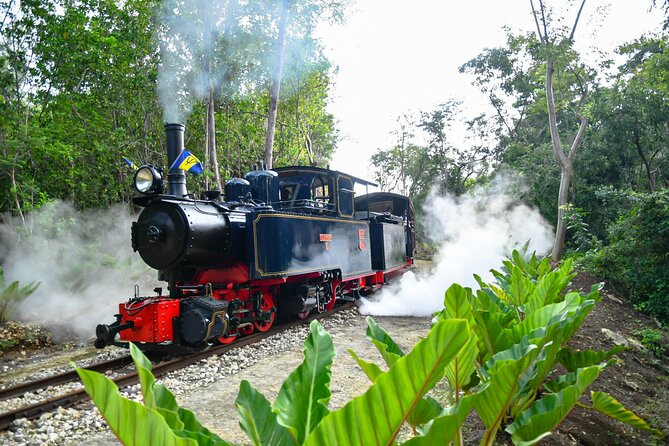Barbados Sightseeing Tour - Reviews