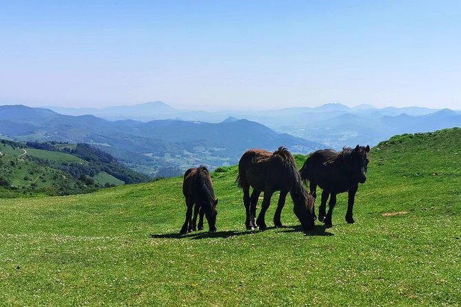 Basque MOUNTAINS, OCEAN & SANCTUARY of LOYOLA - Private Cultural Adventure - Engage in Outdoor Adventures in Basque Country