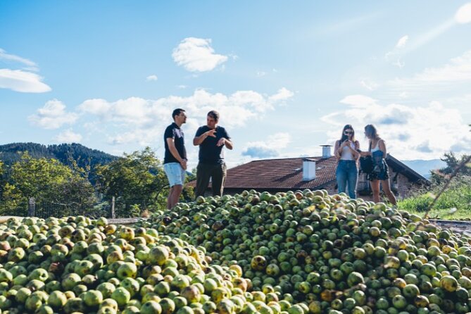 Basque Whaleship & Cider House" Tour Meal From San Sebastian - Booking Information