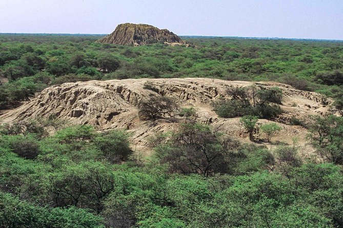 Batan Grande Archeological Site and Sicán National Museum Tour From Chiclayo - Cancellation Policy for the Tour