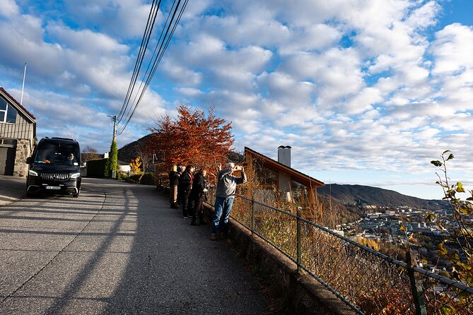 Bergen Guided Tour by Minibus (With Photo Stops) & Bryggen Walk - Common Questions