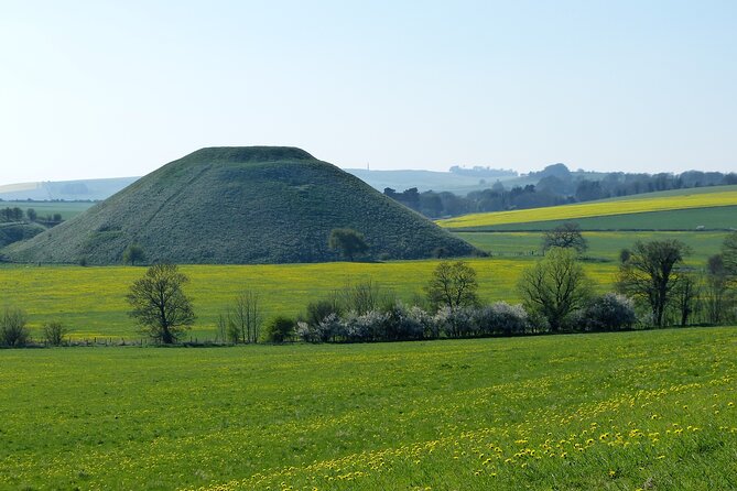Bespoke Private Tours of Stonehenge and Avebury by Car With Local Guide - Traveler Reviews and Viators Terms and Conditions