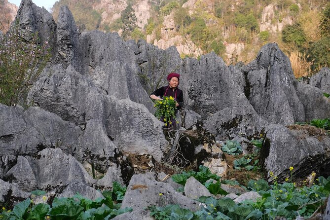Best 3-Day Ha Giang Loop Motorbike Tour-Nature, Villages, Culture - Recommended Accommodations