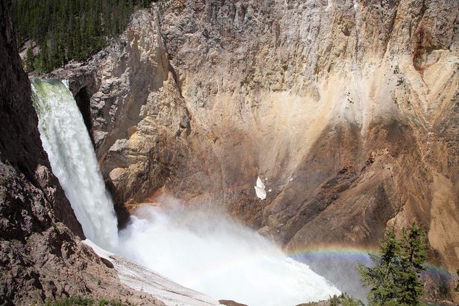 Best of Yellowstone - Guided National Park Safari Tour - Common Questions