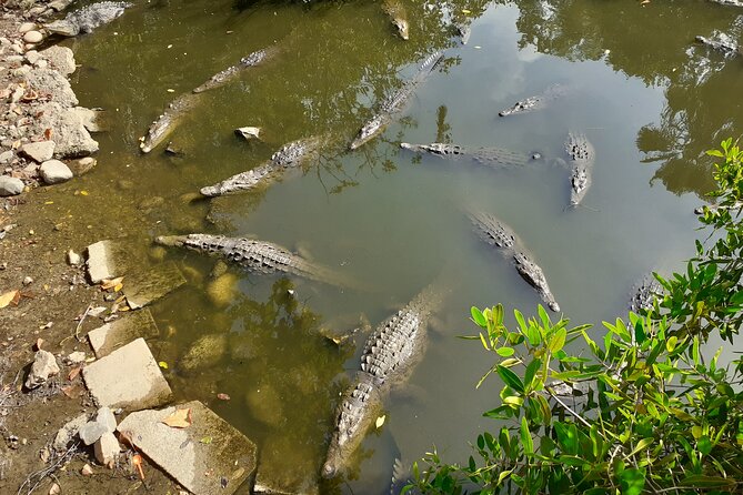 Bicycle Tour in Ixtapa - Directions