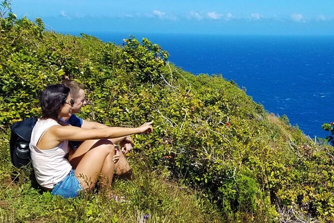 Big Island Hawaii: Kohala Coast With Landing and Hike  - Big Island of Hawaii - Hiking Through the Forest