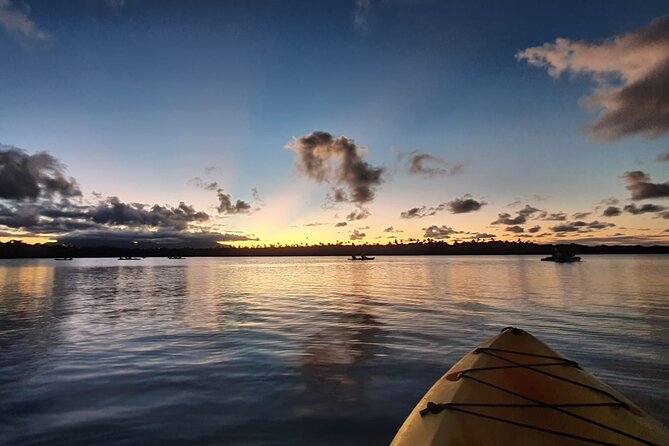 Bioluminescent Bay Night Kayaking Tour in Laguna Grande Fajardo - The Sum Up